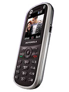 Best available price of Motorola WX288 in Romania